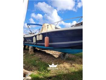 KELT WHITE SHARK 285