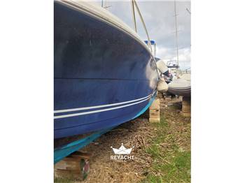 KELT WHITE SHARK 285