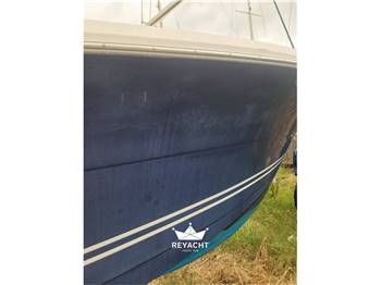 KELT WHITE SHARK 285