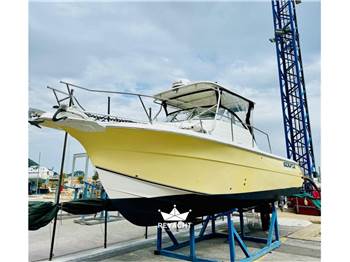 SEA FOX 287