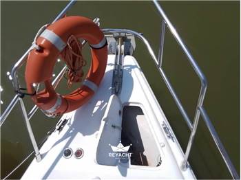 GOBBI 23 CABIN