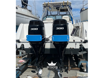 Boston Whaler Conquest 285