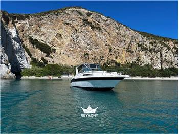 SEA RAY SUNDANCER 290