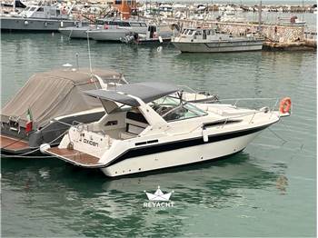 SEA RAY SUNDANCER 290