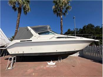 SEA RAY SUNDANCER 290