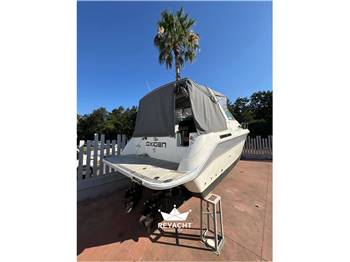 SEA RAY SUNDANCER 290