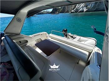 SEA RAY SUNDANCER 290