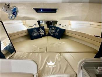 SEA RAY SUNDANCER 290