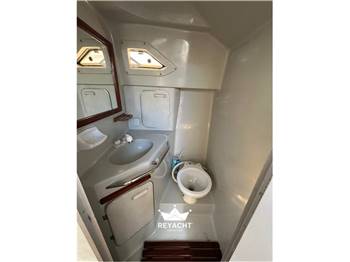 SEA RAY SUNDANCER 290