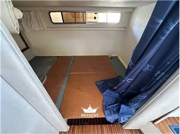 SEA RAY SUNDANCER 290