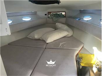 Sea Ray 310 Sundancer