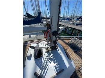 SAN VITALE BELARDI 30