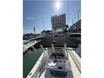 STRIKER BOATS 29 OPEN