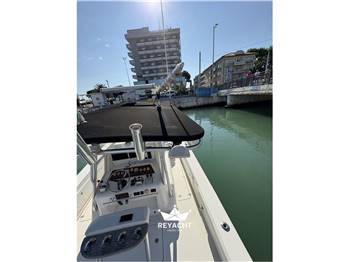 STRIKER BOATS 29 OPEN