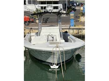 STRIKER BOATS 29 OPEN