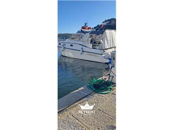 AZIMUT 29