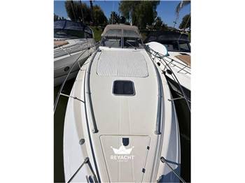 Fiart Mare Fiart 41