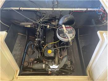 Cigala e Bertinetti Surfer 600V
