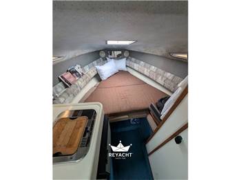 SEA RAY 240