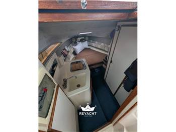 SEA RAY 240