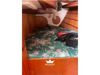 De Cesari One Tonner