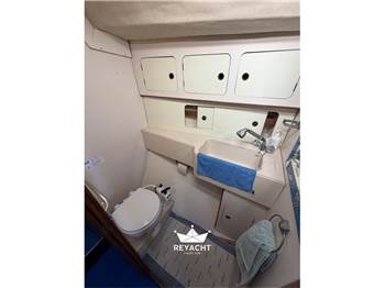 MARINE PROJECTS MOODY 419