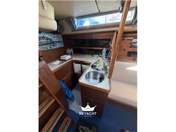 MARINE PROJECTS MOODY 419