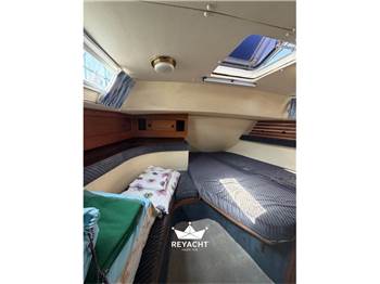 MARINE PROJECTS MOODY 419