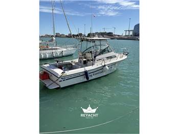 Grady White boats 254 Sailfish