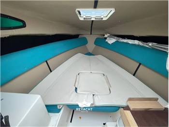 Angelo Molinari Falcon 631 Cruiser