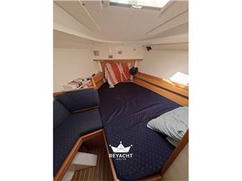 HARMONY 42