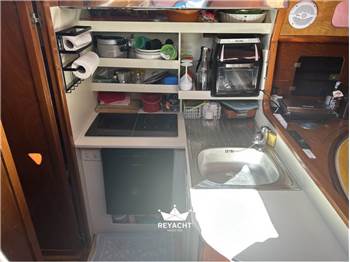 RPD NELSON 46