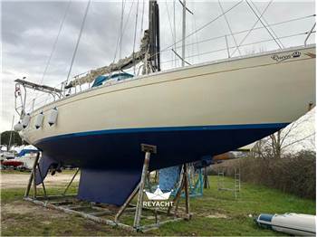 RPD NELSON 46