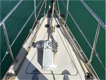 RPD NELSON 46