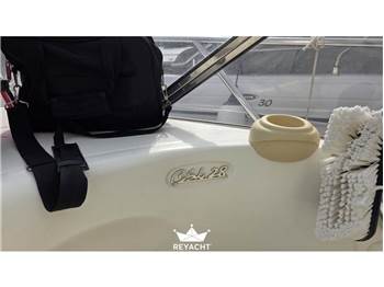 CRANCHI CSL28