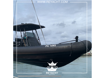 RAYGLASS PROTECTOR 310 CHASE