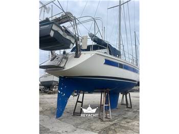 Gibert Marine Gib’Sea 126 Master 44