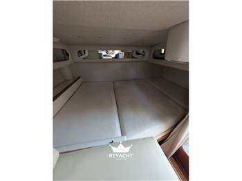 SEA RAY 290