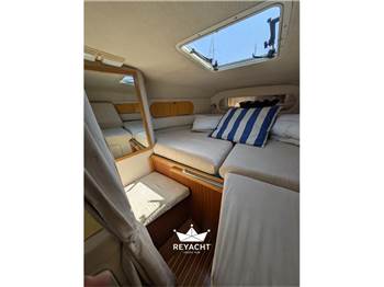 SEA RAY 290