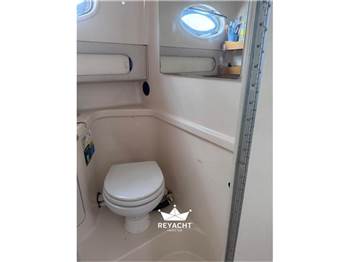 SEA RAY 290