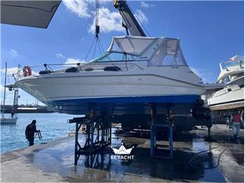 SEA RAY 290