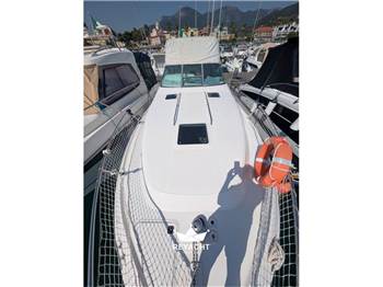 SEA RAY 290