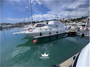 SEA RAY 290