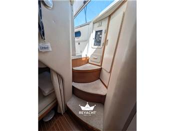 SEA RAY 290