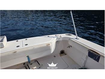 PRO-LINE BOATS PRO. EXPRESS 33