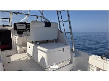 PRO-LINE BOATS PRO. EXPRESS 33