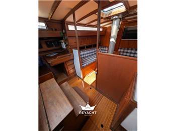 MATTEI GENTILI NEDO CUSTOM 41