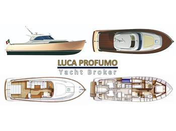 Mochi Craft 51 Dolphin