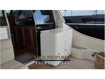 Mochi Craft 51 Dolphin