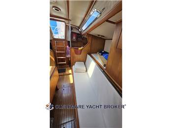 OYSTER MARINE OYSTER 37